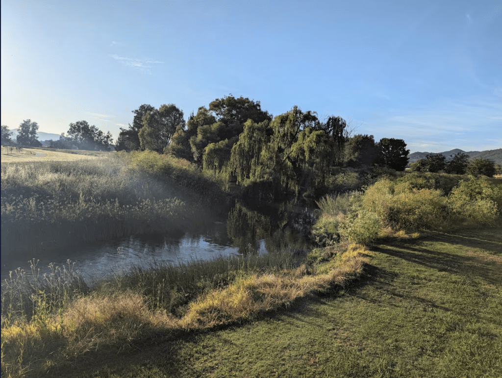 The Cudgegong River and willow trees are in the centre of frame, with a green paddock to the right and sunlight filtering in from the top left. Blue sky is visible. 