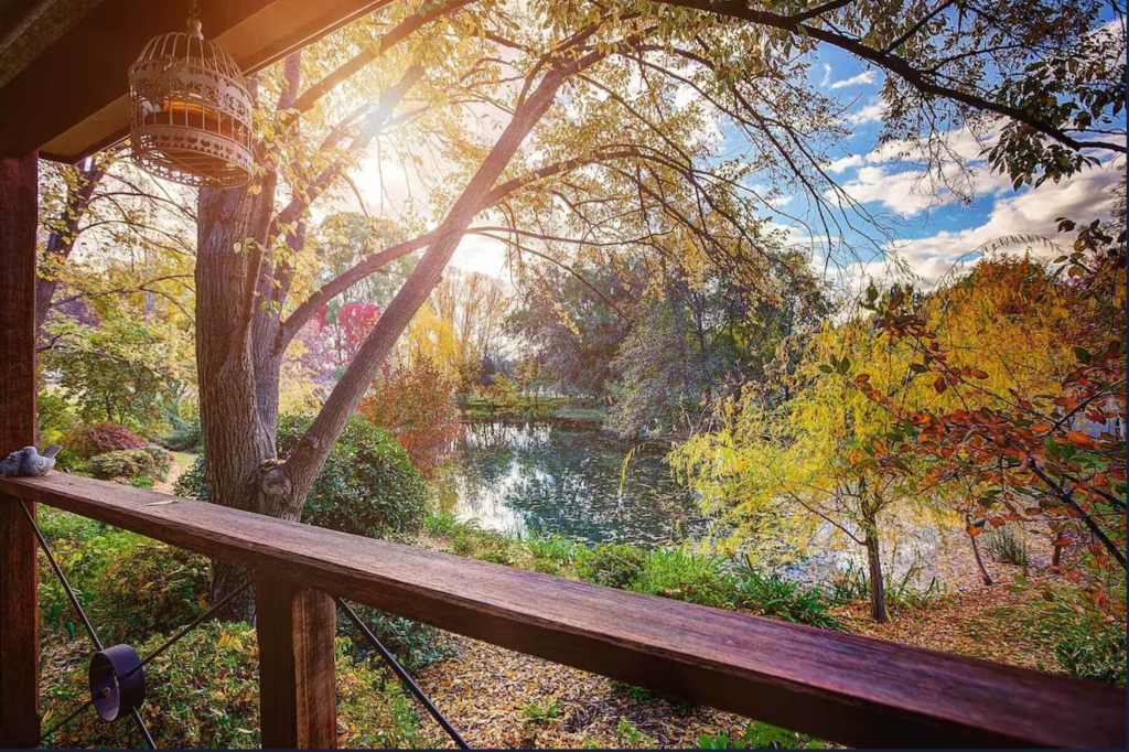 Image looking out from rear deck shows sunlight filtering through a canopy of trees over the Cudgegong River. Water is visible in the centre of frame.